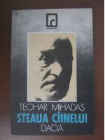Anticariat: Teohar Mihadas - Steaua Cainelui