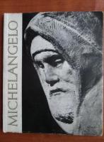 Anticariat: Michelangelo Buonarrotti