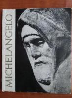 Anticariat: Michelangelo