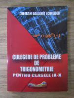 Gheorghe Adalbert Schneider - Culegere de probleme de trigonometrie, clasele IX-X