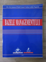 Gheorghe Ionescu - Bazele managementului