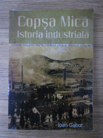 Ioan Gabor - Copsa Mica. Istoria industriala