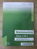 Anticariat: Marius Burtea - Matematica, clasa a XII-a. Filiera tehnologica, servicii, resurse si tehnic