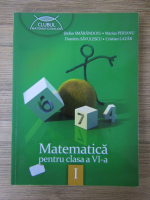 Stefan Smarandoiu - Matematica. Clasa a VI-a, semestrul I
