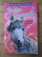Sue Bentley - Poneii fermecati. O dorinta speciala