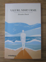 Alexandru Patachi - Valuri, nisip, urme