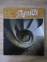 Escudo de Oro. Gaudi. 150 fotografias