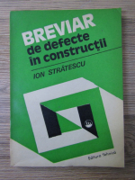Ion V. Stratescu - Breviar de defecte in constructii