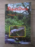 Mihail Voicu - Naparlirea
