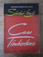 Sinclair Lewis - Un roman despre soti si sotii