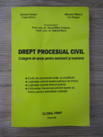 Adriana Gaspar - Drept procesual civil. Culegere de spete pentru seminarii si examene
