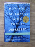 Anne Sheffield - How you can survive when they're depressed. Living and coping with depression fallout
