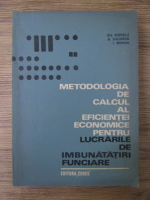 Gheorghe Popescu - Metodologia de calcul al eficientei economice pentru lucrarile de imbunatatiri funciare