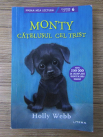 Holly Webb - Monty catelusul cei trist