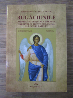 Nicolae Feier - Rugaciunile, aripile ingeresti ale dreptei credinte si trepte de lumina ale scarii raiului 
