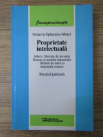 Octavia Spineanu-Matei - Proprietate intelectuala (volumul 1)