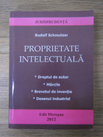 Rudolf Schmutzer - Proprietate intelectuala