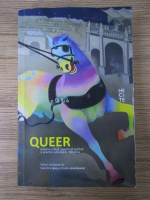 Valentina Iancu - Queer. Gandire critica, constiinta politica si practici culturale in Romania