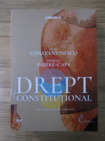 Vlad Constantinesco - Drept constitutional