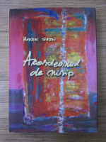Andrei Gazsi - Acordeonul de nisip
