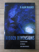 B. Alan Wallace - Hidden dimensions