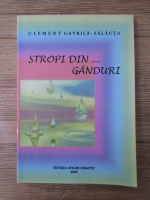 Clement Gavrila Salauta - Stropi din...ganduri