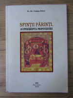 Comsa Petre - Sfintii Parinti, Acoperamantul Propovaduirii