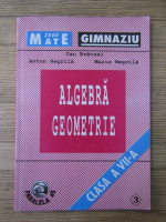 Dan Branzei - Algebra, geometrie. Clasa a VII-a