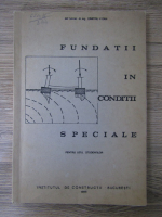 Dumitru V. Dan - Fundatii in conditii speciale