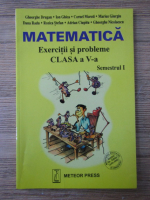Gheorghe Drugan - Matematica. Exercitii si probleme. Clasa a V-a, semestrul 1