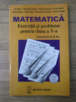 Ion Ghica - Matematica. Exercitii si probleme pentru clasa a V-a, semestrul al II-lea