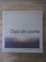 Irina Petras - Clujul din cuvinte