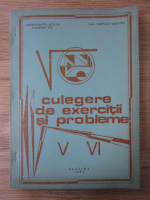 Maria Chiriac - Matematica. Culegere de exercitii si probleme pentru clasele a V-a si a VI-a