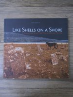 Simon Geissbuhler - Like shells on a shore. Synagogues and Jewish Cemeteries of Northern Moldavia