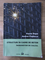 Viorel Popa - Structuri in cadre de beton. Indrumator de calcul
