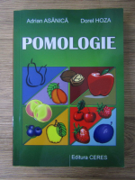 Adrian Asanica - Pomologie