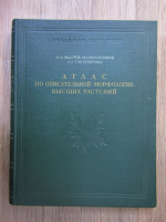 Al. Theodorov, M. Kirpicznikov - Organografia ilustrata a plantelor vasculare. Frunze