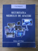 Gheorghe Ilie - Securitatea mediului de afaceri