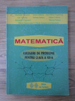 Gheorghe Necsuleu - Matematica. Culegere de probleme pentru clasa a XII-a 