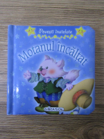 Motanul incaltat