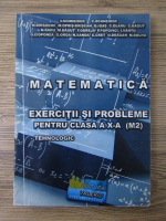 V. Schneider - Matematica. Exercitii si probleme pentru clasa a X-a, M2