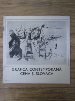 Grafica contemporana ceha si slovaca