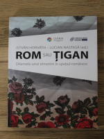Istvan Horvath, Lucian Nastasa - Rom sau tigan. Dilemele unui etnonim in spatiul romanesc
