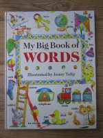 Anticariat: Jenny Tulip - My big book of words