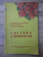 Keszi Harmath Elisabeta - Cultura capsunilor