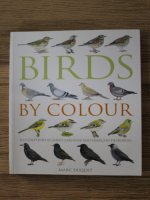 Marc Duquet - Birds by colour