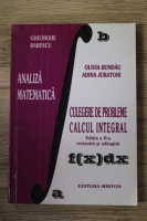 Olivia Bundau - Analiza matematica. Culegere de probleme, calcul integral