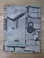 Petre Stoica - Sufletul obiectelor