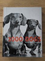 Raymond Merritt, Miles Barth -  1000 dogs