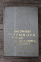 Stefan Pascu - Documente privind Revolutia de la 1848 in Tarile Romane, C. Transilvania (volumul 2)